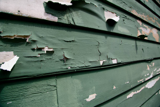 Best Shed Removal  in Brookdale, CA